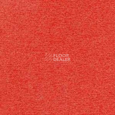 Ковролин Radici Nexus Corallo 8237 фото 1 | FLOORDEALER